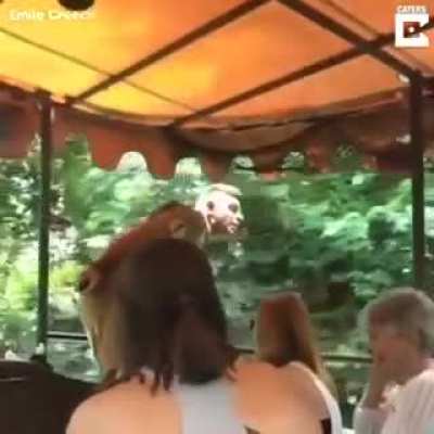 To scare the hippos.