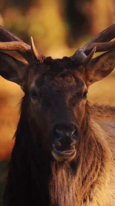Man takes us through his most breath-taking wildlife moments.