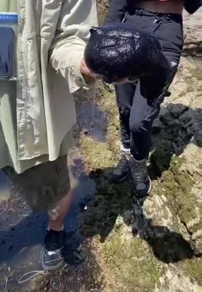 Just a sea hare ejaculating on my Professor