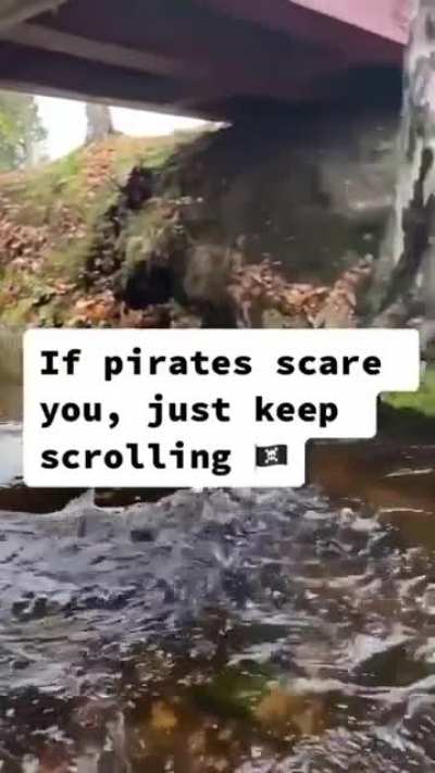 Ahoy, Matey