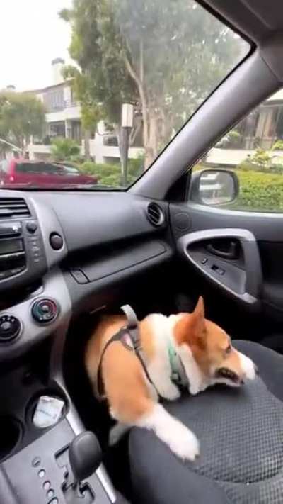 Hekken Wipers !!!!