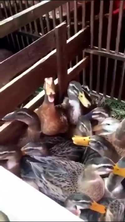 u_Reach_Maximum