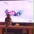 Do not underestimate my power human
