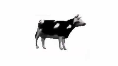 Cuando Duxo y Aquino suben nuevo video