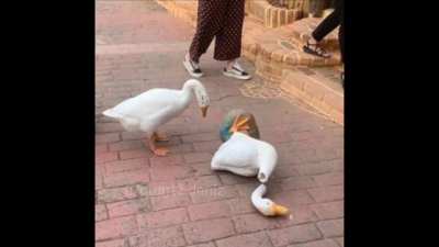 Uyuyamiyorum amk redditini birakmam lazım aq bu saatte yaptığım şeye bak mq neyse bu sefer kesin uyucam