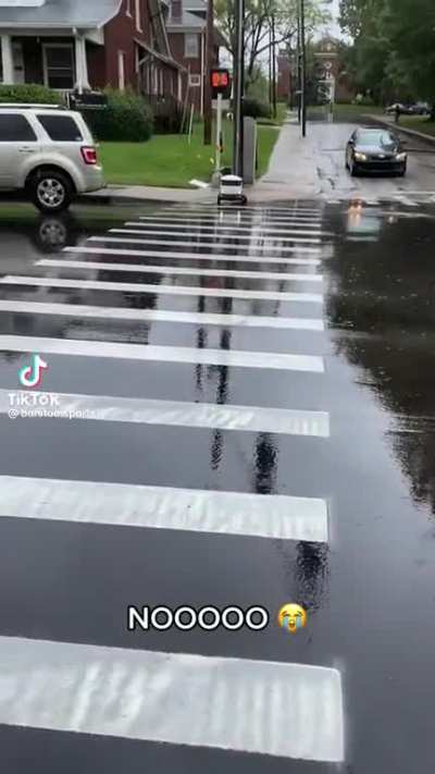 Robot hit and run