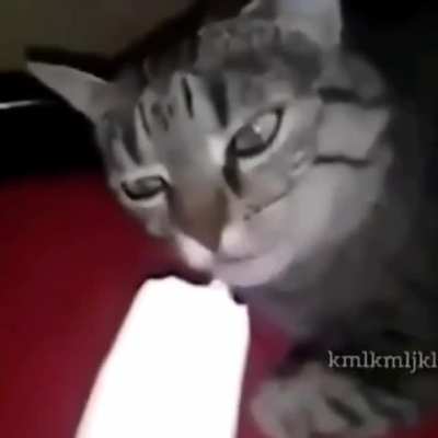brain freeze