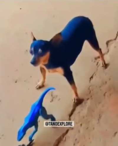 Please, wait in the line