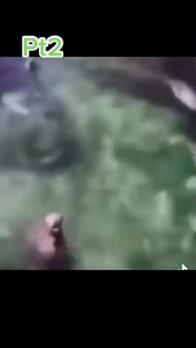 Little compilation
