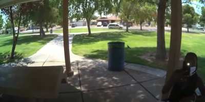 Police roll up on black woman studying in a park to inform her she isn’t allowed to study there next week.