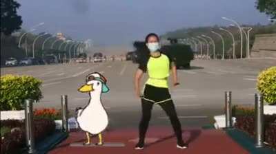 Duck