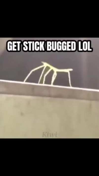 you expected a rickroll? you fool...