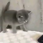 SOOO cute 😍😍