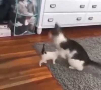 Dude left to get some milk