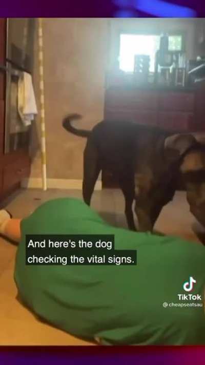 Dog helps choking owner