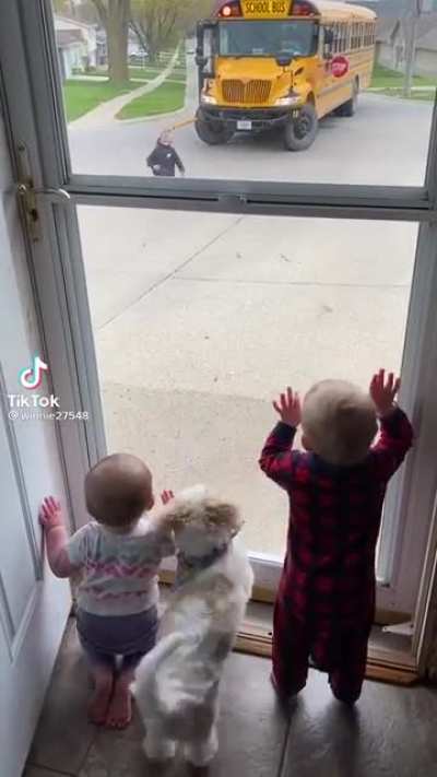 The pure excitement