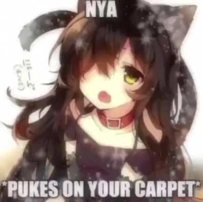 el mejor hentai 🥵