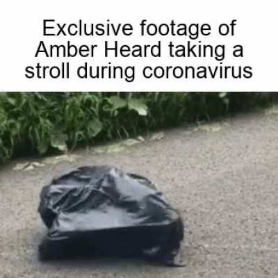 Trash really do take themselves out