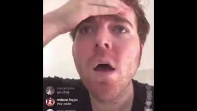 Shane impala