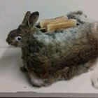 I've made a Rabbit Toaster!