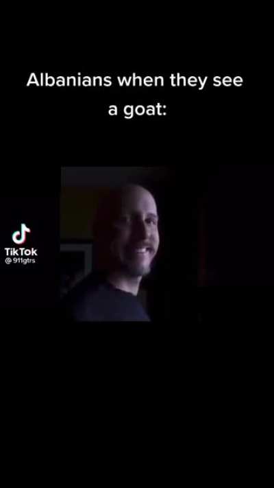 The 