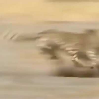 🔥 Warthog jukes and turns the tables on a cheetah
