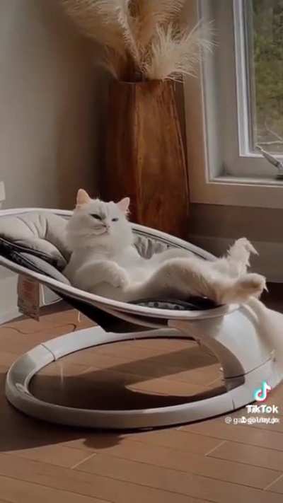 Convo between pets