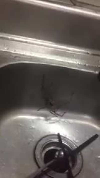Abrupt laddah