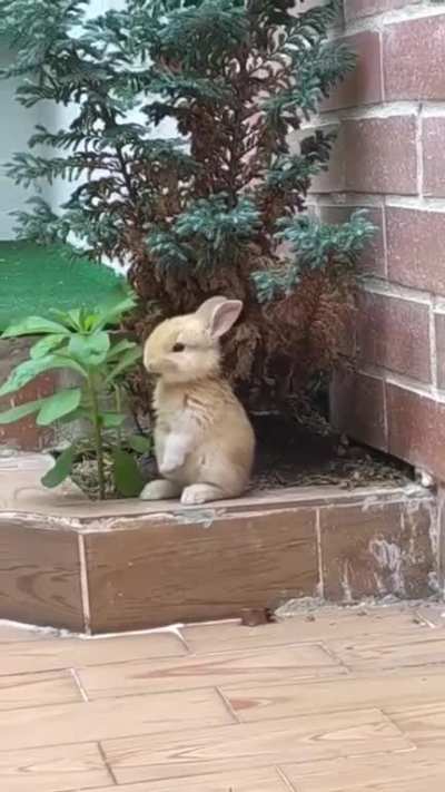 Having a snack.