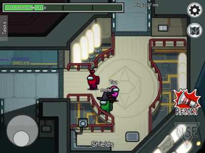 Shields was made for this