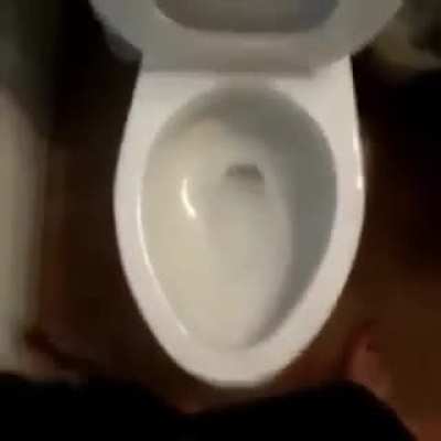 Time to let it out
