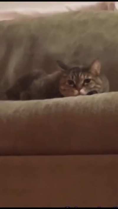 :)