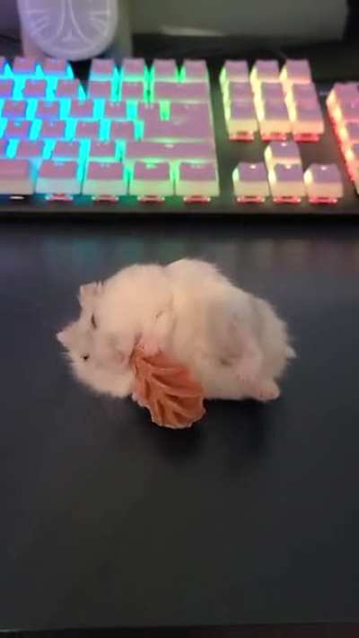 sylvester is in another dimension when he's snacking