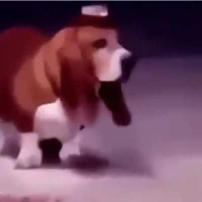 dog sheriff 👌