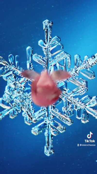 Made a poem about the life of a snowflake
