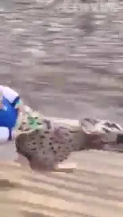 cCc Türk Bebek cCc