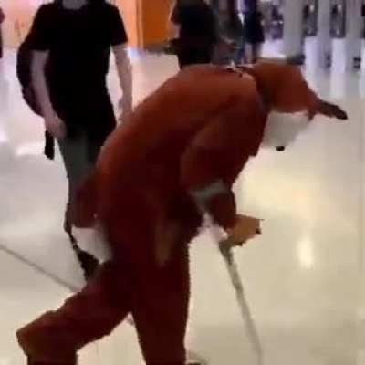 Remember, No furry