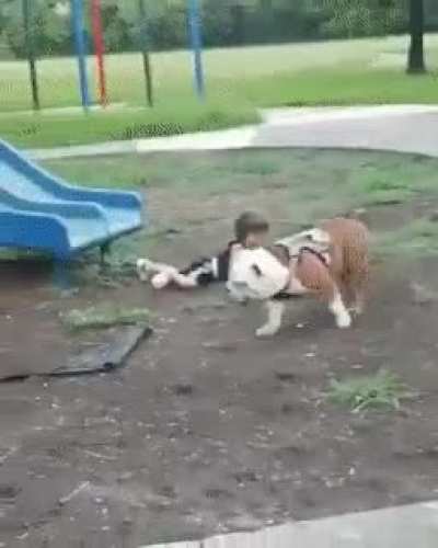 K.O