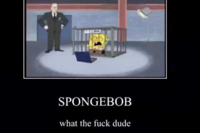 Bob porquee