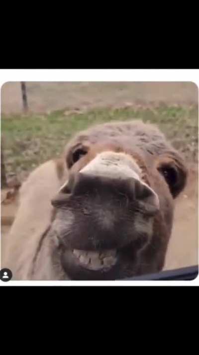 You see it?
