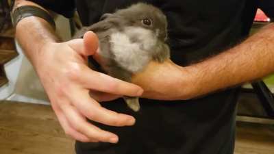 Hairy cheeks.