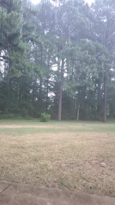 At a rest stop in North Carolina right now