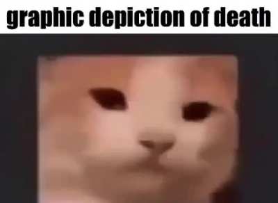 mortality salience