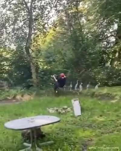 Don’t know if this counts