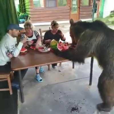 Typical Russian dinner