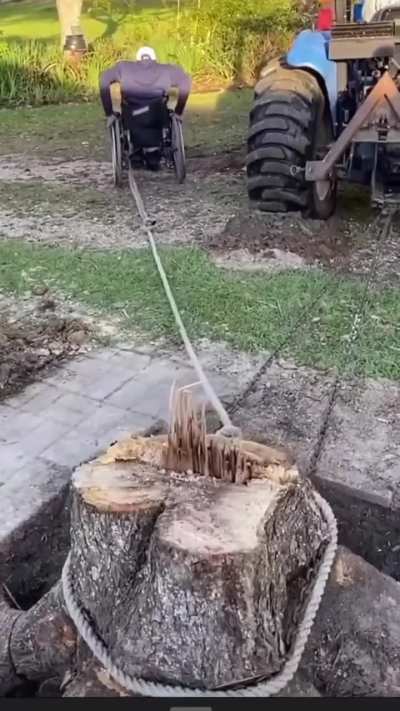 Çek anana çek 