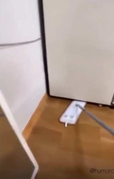 Let me see what is under the fridge