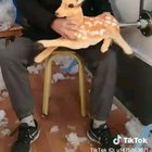 Так набивают наполнителем мягкие игрушки.