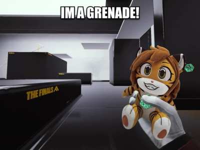 new skin for grenade