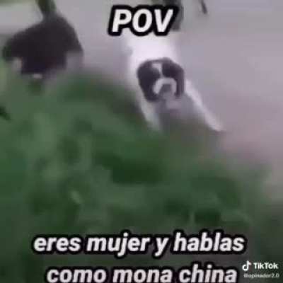 Lul